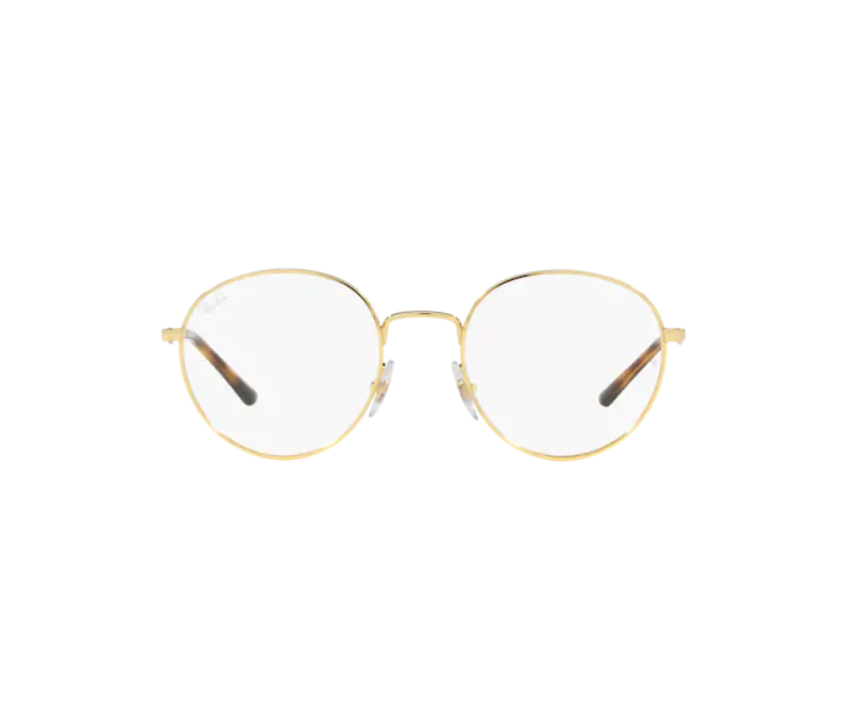 RAY BAN RB3681V/2500 50 RAY BAN RB3681V/2500 50